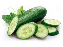 Extract of cucumber